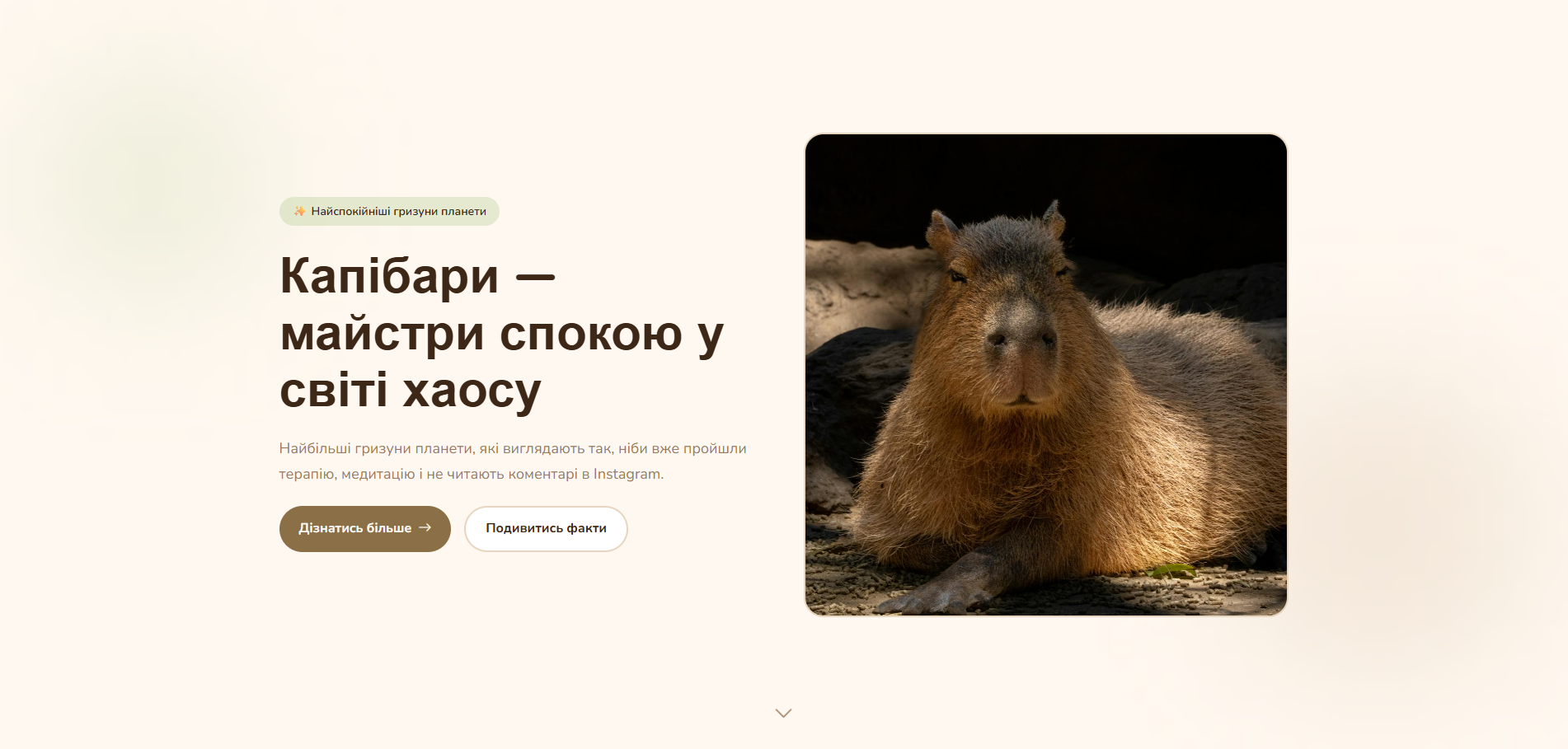 CapyChino - landing page about capybaras